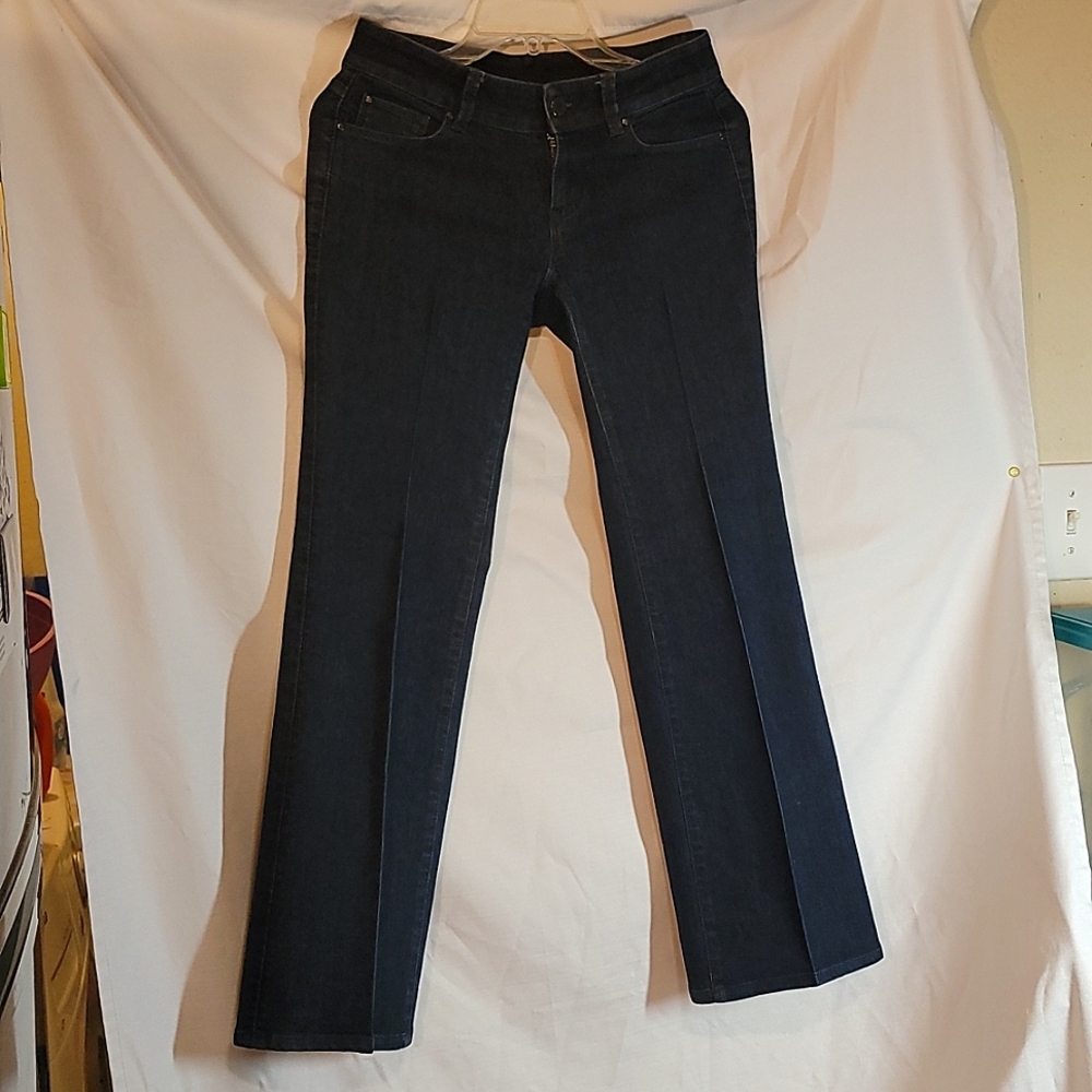Ann Taylor Jeans Modern Fit